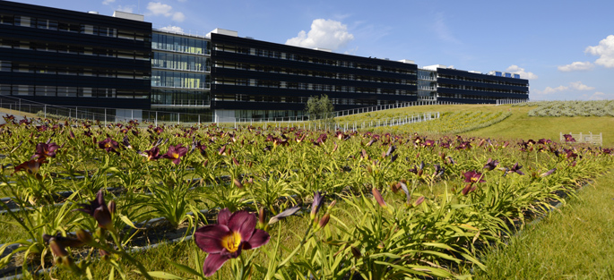 Crédit : ©Epamarne / Architecte : Jean-Philippe Pargade / photo : Eric Morency Toitures plantées du bâtiment Bienvenüe à la Cité Descartes