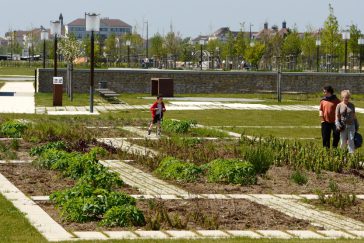 Photographie du jardin de partage des savoirs dans l'écoquartier Le Sycomore