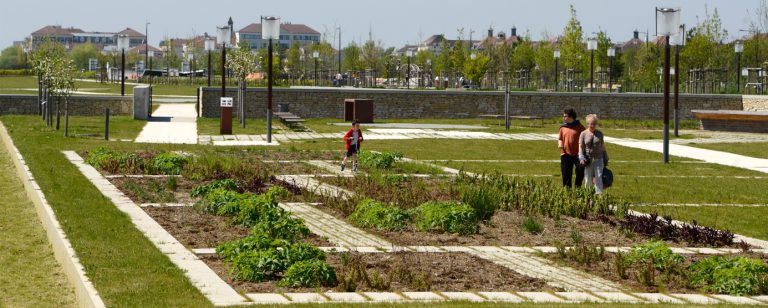 Photographie du jardin de partage des savoirs dans l'écoquartier Le Sycomore