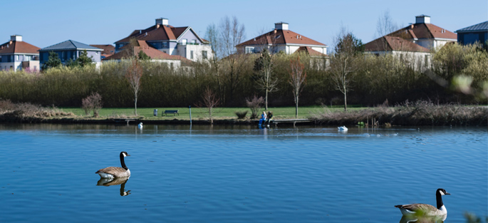 Crédit : ©Epamarne / photo : Antoine-Meyssonnier Photographie de l'étang des grives dans le parc du Génitoy (Bussy Saint-Georges)
