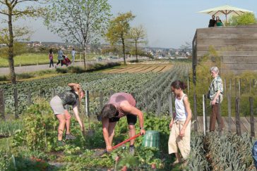 Ecoquartier de Montévrain : le coeur agro-urbain
