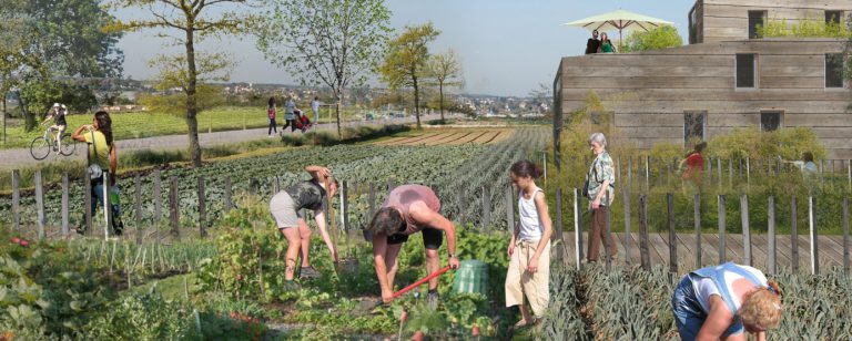 Ecoquartier de Montévrain : le coeur agro-urbain