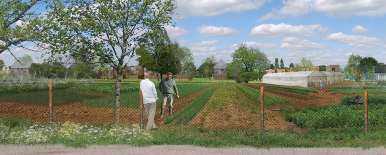 Maraichage biologique dans le coeur agro-urbain de Montévrain