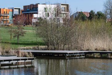 Photographie de l'étang des Grives dans le parc du Génitoy à Bussy Saint-Georges