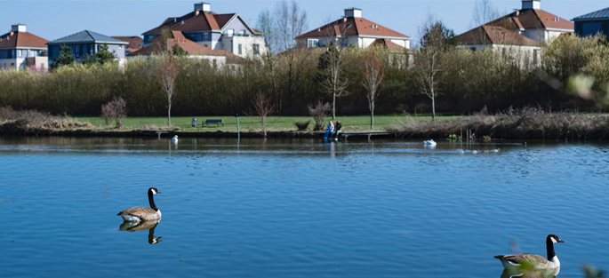 Logements et lac donnant sur le parc du Génitoy