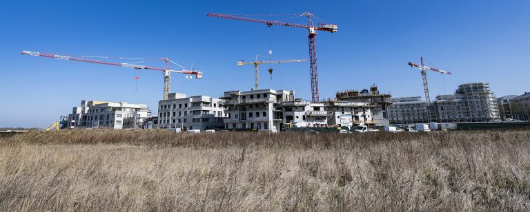 Grues de travaux sur la ZAC des Studios et des Congrès