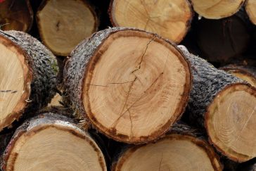 Photographie d'une découpe de bois : bois coupe scierie du Vaudois à Rumilly-les-Vaudes (10) à coté de Troyes