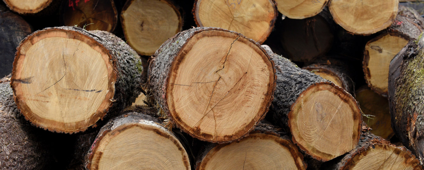 Photographie d'une découpe de bois : bois coupe scierie du Vaudois à Rumilly-les-Vaudes (10) à coté de Troyes