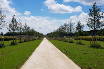 Allée Imperatrice à Ferrières-en-Brie 200 arbres et 1 séquoia en paysage