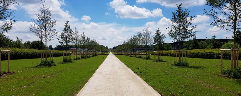 Allée Imperatrice à Ferrières-en-Brie 200 arbres et 1 séquoia en paysage