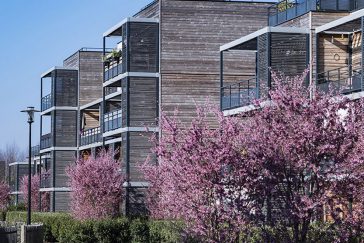 20190524_lexique-2018_rapport-annuel_bois_HS